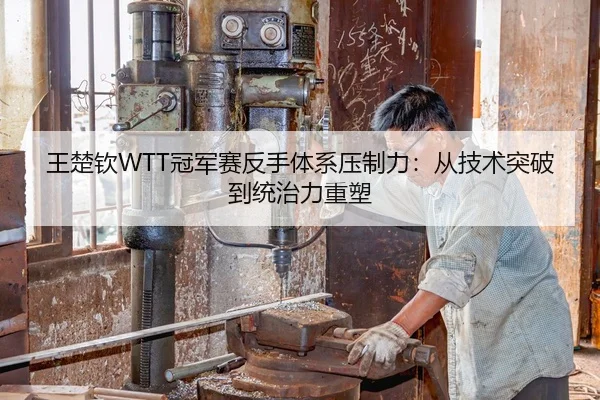 王楚钦WTT冠军赛反手体系压制力：从技术突破到统治力重塑
