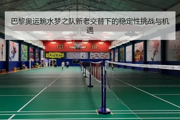 巴黎奥运跳水梦之队新老交替下的稳定性挑战与机遇