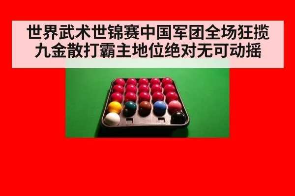世界武术世锦赛中国军团全场狂揽九金散打霸主地位绝对无可动摇